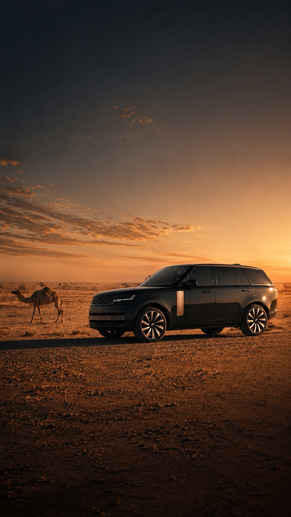 Range Rover במדבר